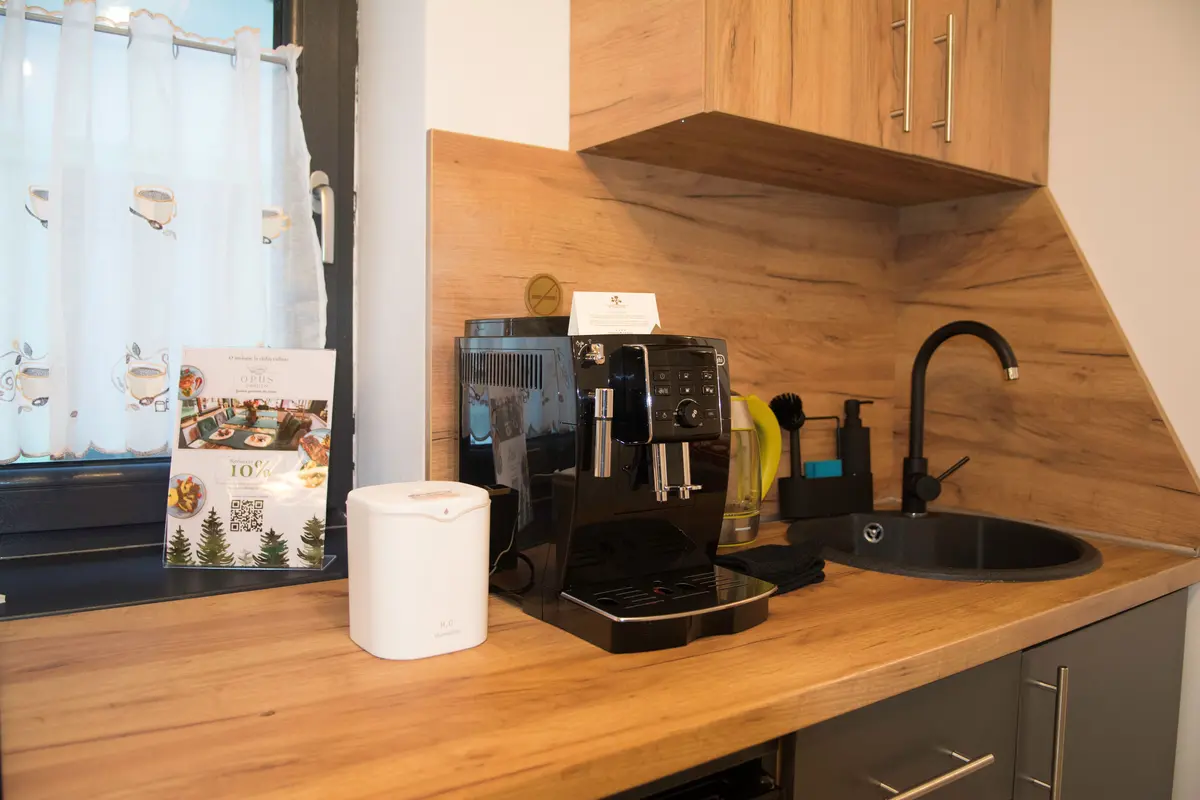 Chicinetă complet utilată în apartamentul Casa Criss